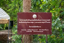 A7C00277.jpg