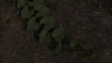 สื่อธรรมะพ่อครู(ศิลปะโลกุตระ) ตอน ศิลปะโลกุตระเริ่มจากอะไร.mp4