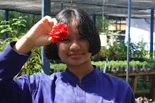 680202 สสธ.ม.3 ฝึกหัดเพาะชำต้นไม้แบบควบแน่น ไปสวนไวพลัง 248.JPG