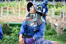 680224 วันบวร ชาวชุมชนสีแดง และ นร.ม.1 ปลูกหัวไชเท้า 149.jpg