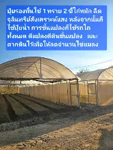 680210 ประชุมการศึกษาบุญนิยม ที่เนินพอกิน งานพุทธา 35.jpeg