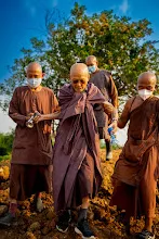 A7201392.jpg