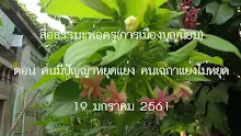 สื่อธรรมะพ่อครู(การเมืองบุญนิยม) คนมีปัญญาหยุดแย่ง คนเฉกาแย่งไม่หยุด.mp4