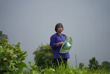 A7C04456 copy.JPG
