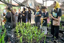 680329 นศ.ม.มหิดล คณะสาธารณสุขศาสตร์ ปี2 เยี่ยมชมดูงานสวนครอบครัวน่ารัก 21.jpg