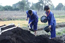671115 ค่ายเปิดเทอมนักเรียนสัมมาฯ ทำงานเช้าขนของ ลงสวนผัก 6.JPG