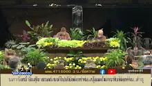 สื่อธรรมะพ่อครู ตอน ว่าคนอื่นถือว่ามีอัตตหรือไม่-_.mp4