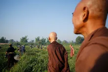 _5D35949.JPG