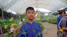 680410 สมุนพระรามนำต้นกล้าดอกไม้ที่เพาะไว้ออกขายเป็นครั้งแรกในตลาดอาริยะ 5.jpg