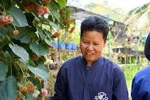 680202 สสธ.ม.3 ฝึกหัดเพาะชำต้นไม้แบบควบแน่น ไปสวนไวพลัง 92.jpg