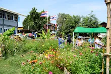 680419 ครูดีไม่มีอบายมุข รุ่น 14 เข้า work shop สวนครอบครัวน่ารัก 268.jpg