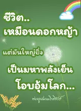 ชีวิตเหมือนดอกหญ้า.jpeg