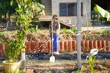 680103 สมุนพระรามดูแลสวนเช้า เย็น เปียหม่องเริ่มทำน้ำตก 103.jpg