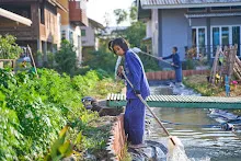 680103 สมุนพระรามดูแลสวนเช้า เย็น เปียหม่องเริ่มทำน้ำตก 74.jpg