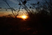 IMG_1472.JPG
