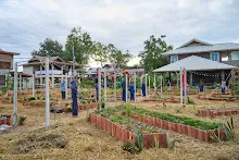 671214 สมุนพระรามทำสวนเช้า พบคณะสมณะเพาะพุทธมาเยี่ยมสวน 85.jpeg