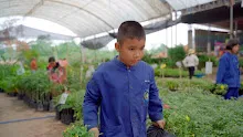 680410 สมุนพระรามนำต้นกล้าดอกไม้ที่เพาะไว้ออกขายเป็นครั้งแรกในตลาดอาริยะ 22.jpg