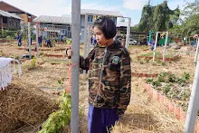 671216 สมุนพระราม ห่มดินสวนน่ารักด้วยฟางข้าว วัดระดับน้ำคลองไส้ไก่ 81.jpg