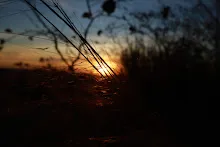 IMG_1475.JPG