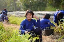 680303 วันบวร เก็บมะเขือ ที่สวนลานกราบ นร.ม.3 ม.ปลาย ชาวชุมชน 32.jpg