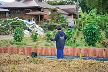 671214 สมุนพระรามทำสวนเช้า พบคณะสมณะเพาะพุทธมาเยี่ยมสวน 64.jpeg