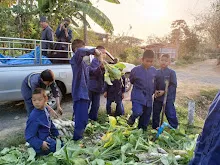 LINE_ALBUM_680219 สมุนพระรามเก็บหัวไชเท้า_250225_18.jpg