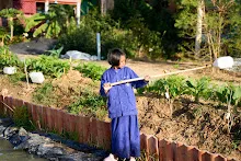 680117 สมุนพระรามปรับปรุงสวน ทาสีเสาป้ายสวนครอบครัวน่ารัก 28.jpg