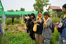 680329 นศ.ม.มหิดล คณะสาธารณสุขศาสตร์ ปี2 เยี่ยมชมดูงานสวนครอบครัวน่ารัก 103.jpg