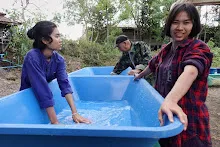 671213 ภาพ การเลี้ยงผำในอ่างพลาสติก ปสช.บิวตี้ บอส 35.jpg