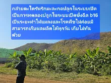 680210 ประชุมการศึกษาบุญนิยม ที่เนินพอกิน งานพุทธา 44.jpeg