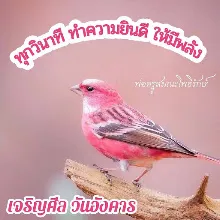 ทุกวินาที ทำความยินดีให้มีพลัง.jpeg