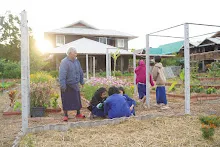 680110 สมุนพระราม ทำ 5 ส ปลูกต้นองุ่น ปรับปรุงแปลงดอกไม้ 49.jpg