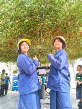 680212 สสธ.ไปทัศนศึกษาที่งานเกษตรอีสานใต้ ม.อุบล 86.jpg