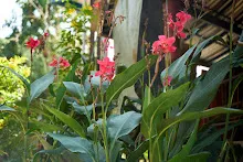 680124 นร.ม.2 ฝึกเพาะเมล็ดพุทธรักษาแบบควบแน่น