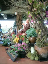 DSCF2205.JPG