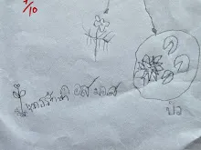 680221 สมุนพระรามหัดสังเกต 9 อาการผิดปกติของพืช 33.jpg