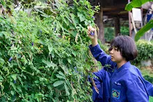 671124 สมุนพระราม ทำสลัดโรลแจก ที่โรงครัวกลาง 4.jpg