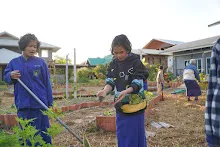 680110 สมุนพระราม ทำ 5 ส ปลูกต้นองุ่น ปรับปรุงแปลงดอกไม้ 71.jpg