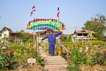 680218 สมุนพระราม เพาะควบแน่น เมล็ดพุทธรักษาที่ได้ผสมพันธุ์ข้ามสี  19.jpg