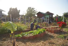 680103 สมุนพระรามดูแลสวนเช้า เย็น เปียหม่องเริ่มทำน้ำตก 70.jpg