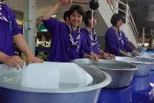 690301 สสธ ม1  ร่วมงานพุทธา ปฐมอโศก 100.JPG