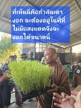 680210 ประชุมการศึกษาบุญนิยม ที่เนินพอกิน งานพุทธา 28.jpeg