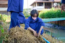 680117 สมุนพระรามปรับปรุงสวน ทาสีเสาป้ายสวนครอบครัวน่ารัก 68.jpg