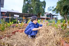 671210 สมุนพระรามขนฟางปูสวนครอบครัวน่ารัก 70.jpg