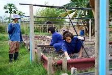 680224 วันบวร ชาวชุมชนสีแดง และ นร.ม.1 ปลูกหัวไชเท้า 39.jpg