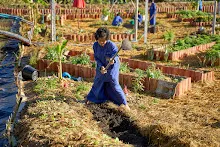 671227 สมุนพระรามเข้าค่าย งาน ว.บบบ. วันแรก ทำสวน ทำครัว 61.jpg