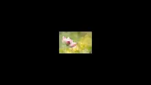 สื่อธรรมะพ่อครู(เศรษฐศาสตร์บุญนิยม) ตอน กำลัง 4 พ้นภัย 5 จึงกล้าตาย.mp4