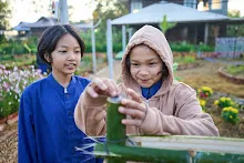 680608 สมุนพระรามเก็บเมล็ดพันธุ์ดอกไม้กินได้ที่สวน ไปขนดินปลูก 26.jpg