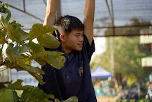 680123 สสธ.ม.4 ช่วยกางเต๊นท์เรือนเพาะชำสวนครอบครัวน่ารัก 16.jpg