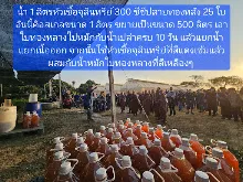 680209 เดินตามรอยโพธิสัตว์ งานพุทธาฯปฐมอโศก ต้นทองหลาง สังเคราะห์แสง 28.jpeg